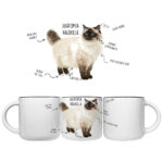 Kubek z kotem ragdoll