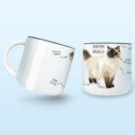 Kubek z kotem ragdoll