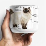 Kubek z kotem ragdoll