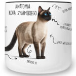 Kubek z kotem syjamski